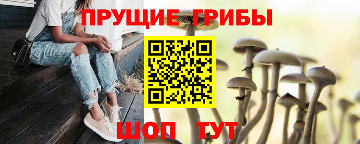 дарнет шоп  Вход с VPN  Можга  Галлюциногенные грибы MAGIC MUSHROOMS 