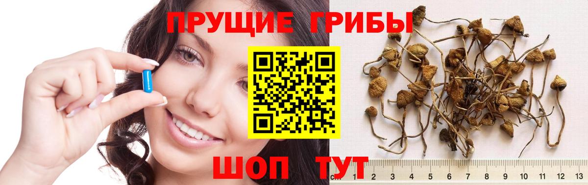 Псилоцибиновые грибы ЛСД Можга