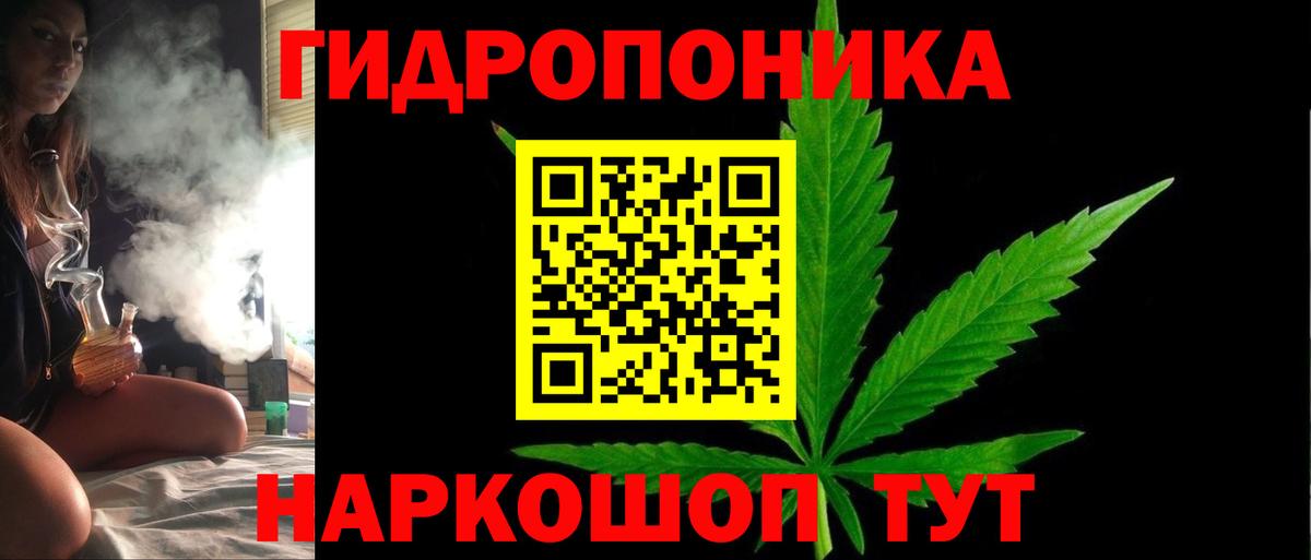 Конопля индика  Бошки марихуана план  Вход с VPN  Можга  Марихуана Bruce Banner 